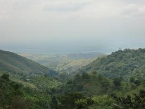 427818_3623825840279_643596504_n