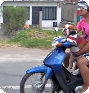 Riding a motorcycle is fun, and it is always an adventure