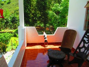 292101_4236497676692_1013887719_n