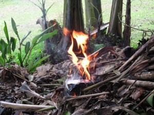 let the new year go 006