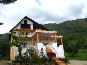 Marley bite, video's from hike and pink tree 022