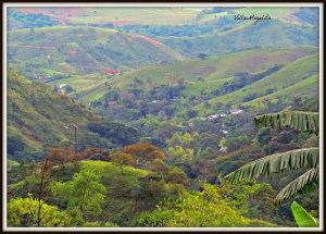 videos of animals and sunsets 077