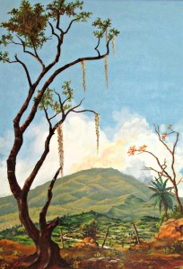 The tree and animal photos 015