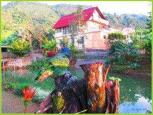 Ricardo job, lake, luci and tarantula 021