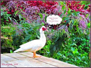 Ricardo job, lake, luci and tarantula 043