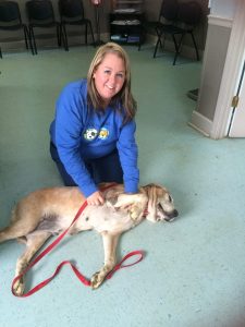 11110213_969488913076023_1936539913176158243_n