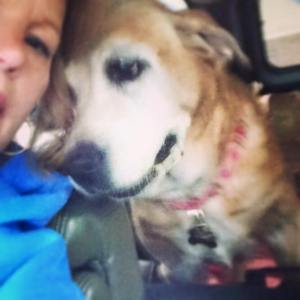 11149445_969121459779435_6796288659843424233_n (1)