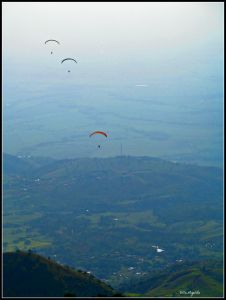 10402063_816659405066794_8516355966828764505_n