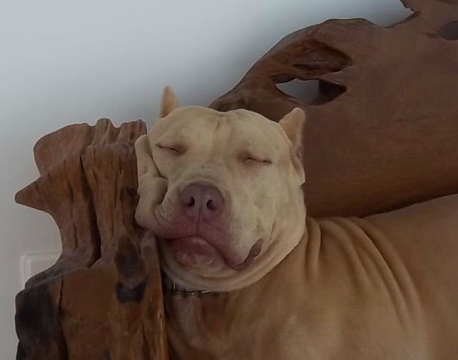 560748_3901064371069_683198863_n