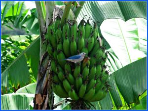 10903834_785850578147677_2461361472519565294_o (1)