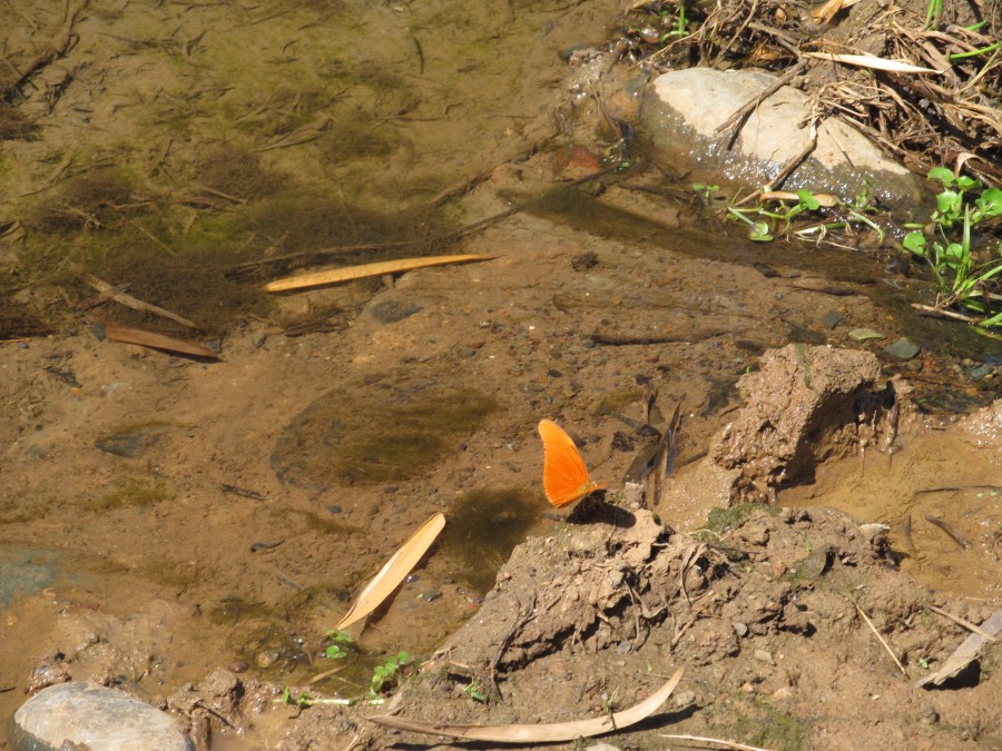 Janet and Elaine at VM 063