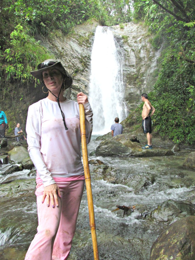 Pericos and bird videos 046