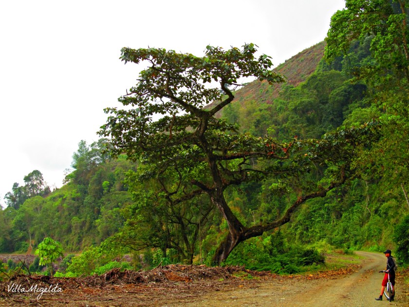 Mountain bike ride 033