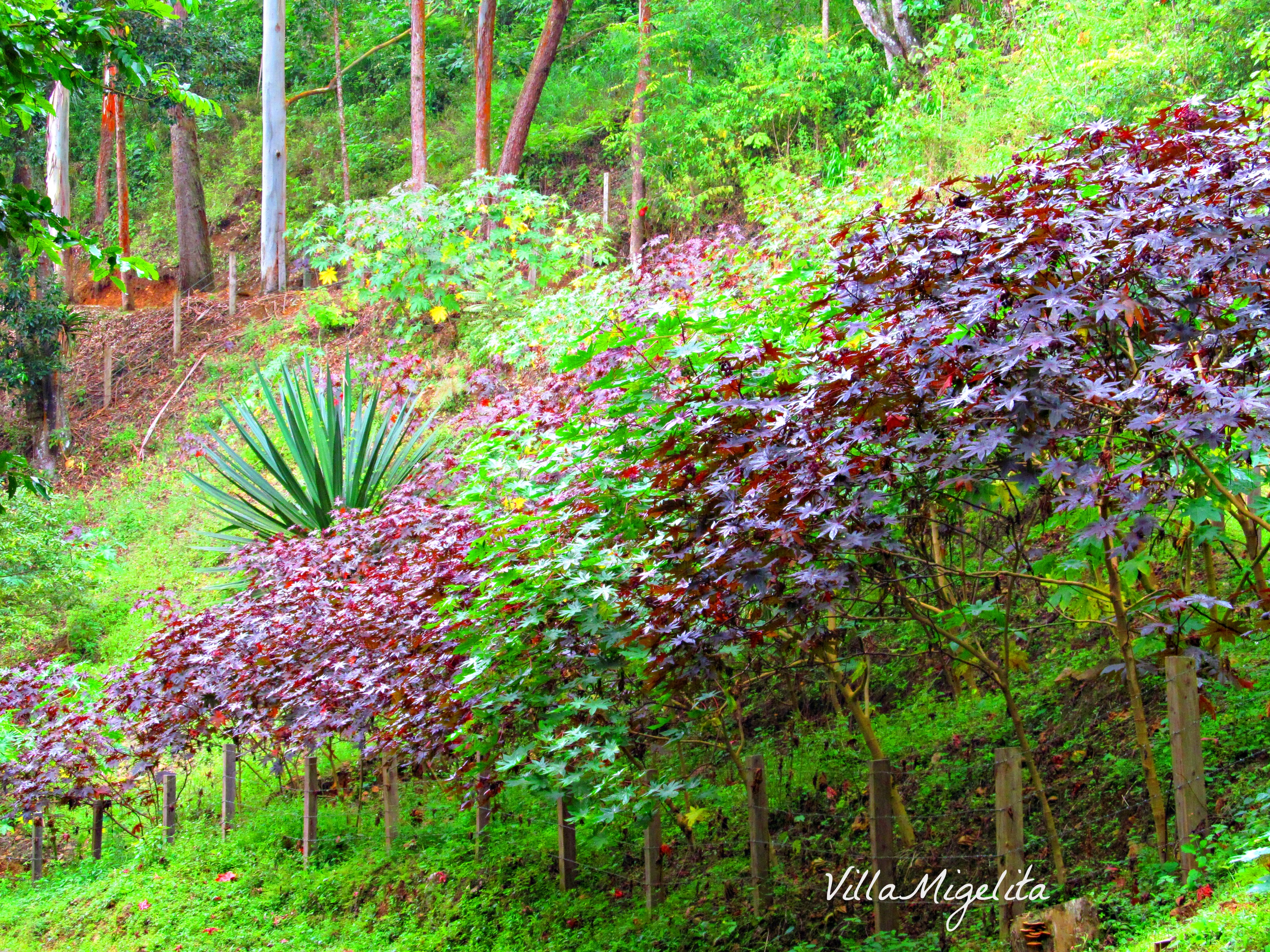 Mountain bike ride 053