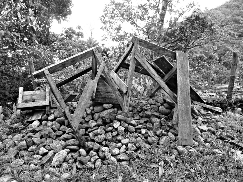 Photos of rainforest, pueblo, flowers..layers 012