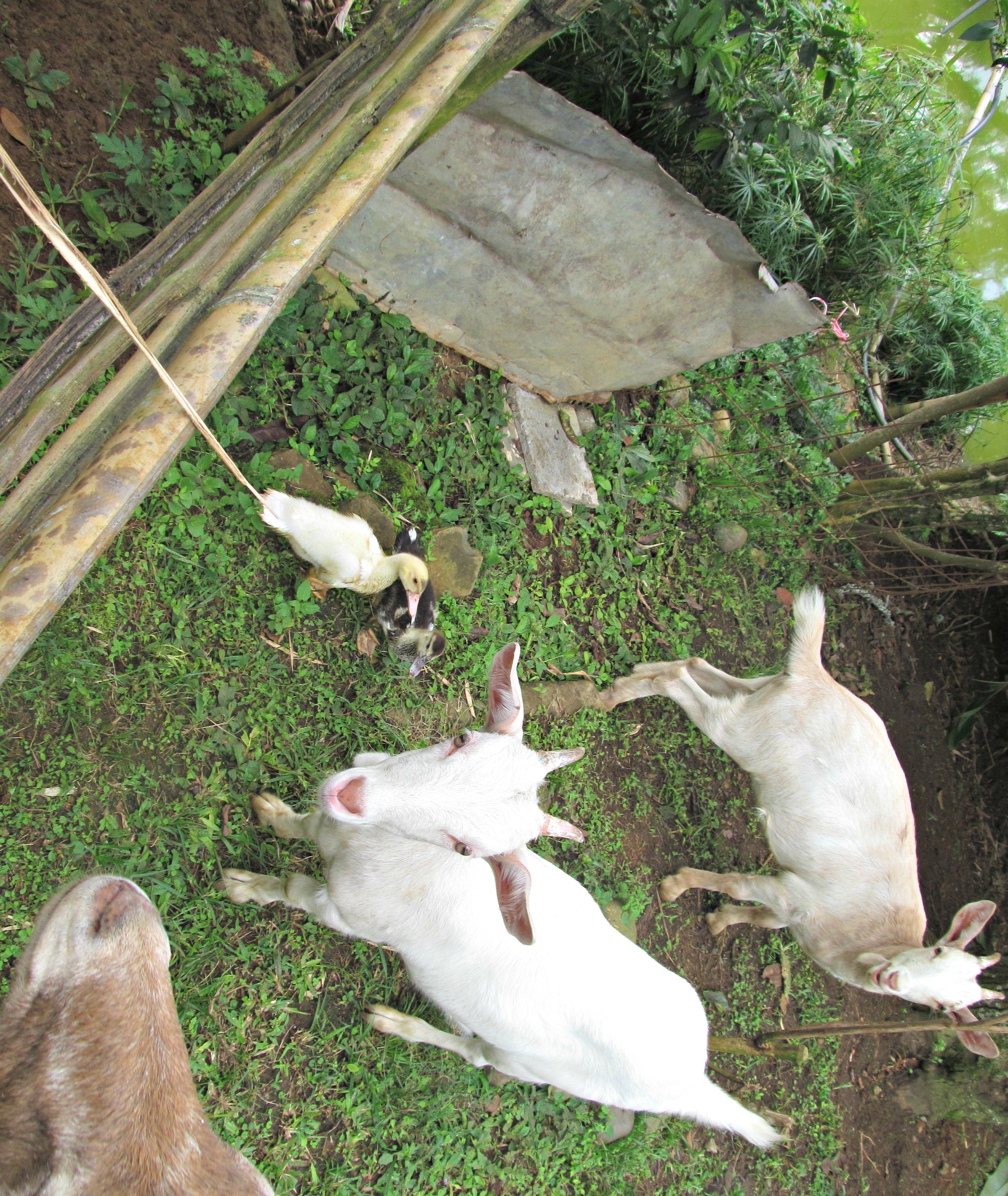 house-pictures-colleen-etc-064