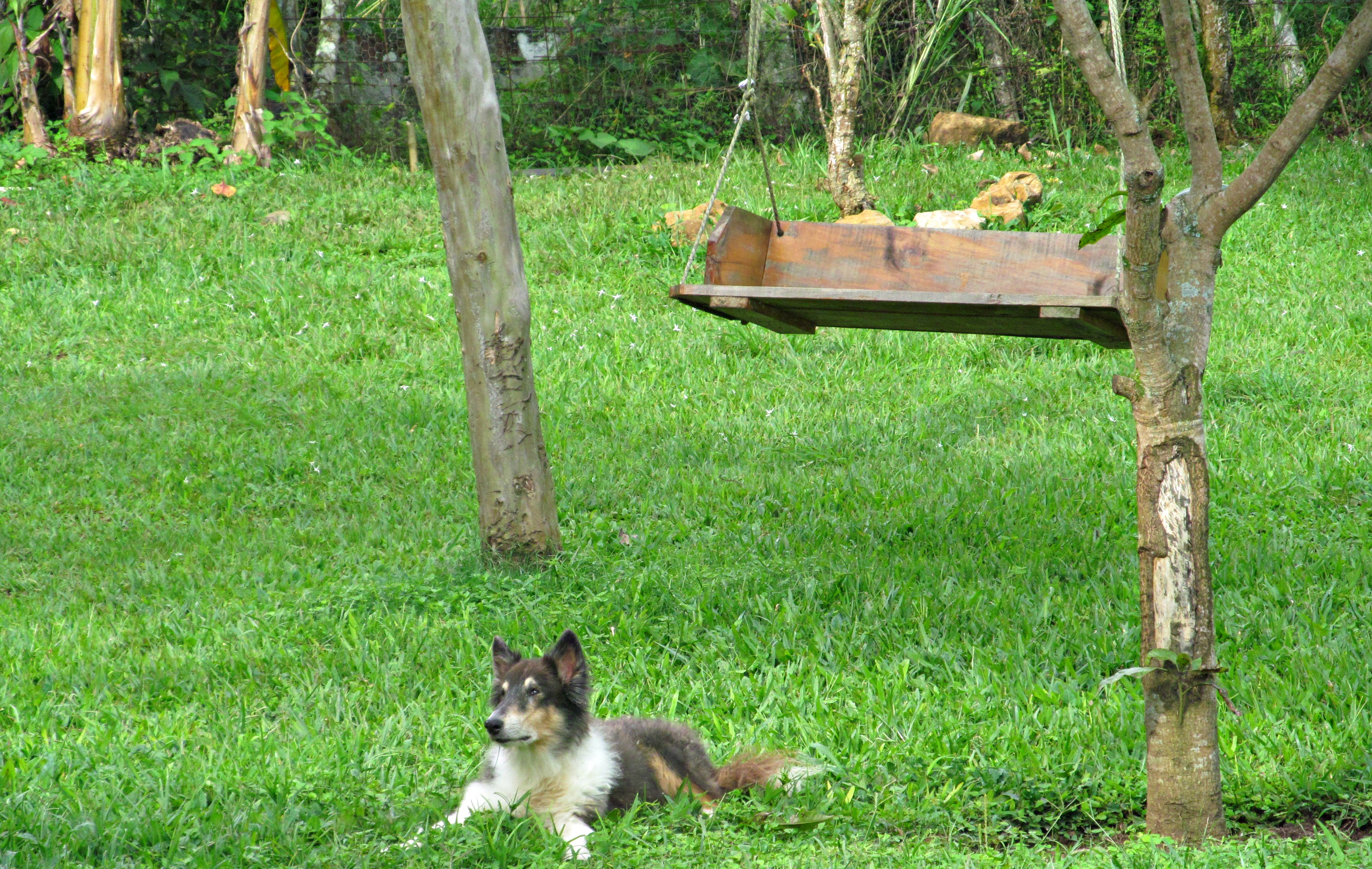 house-pictures-colleen-etc-085