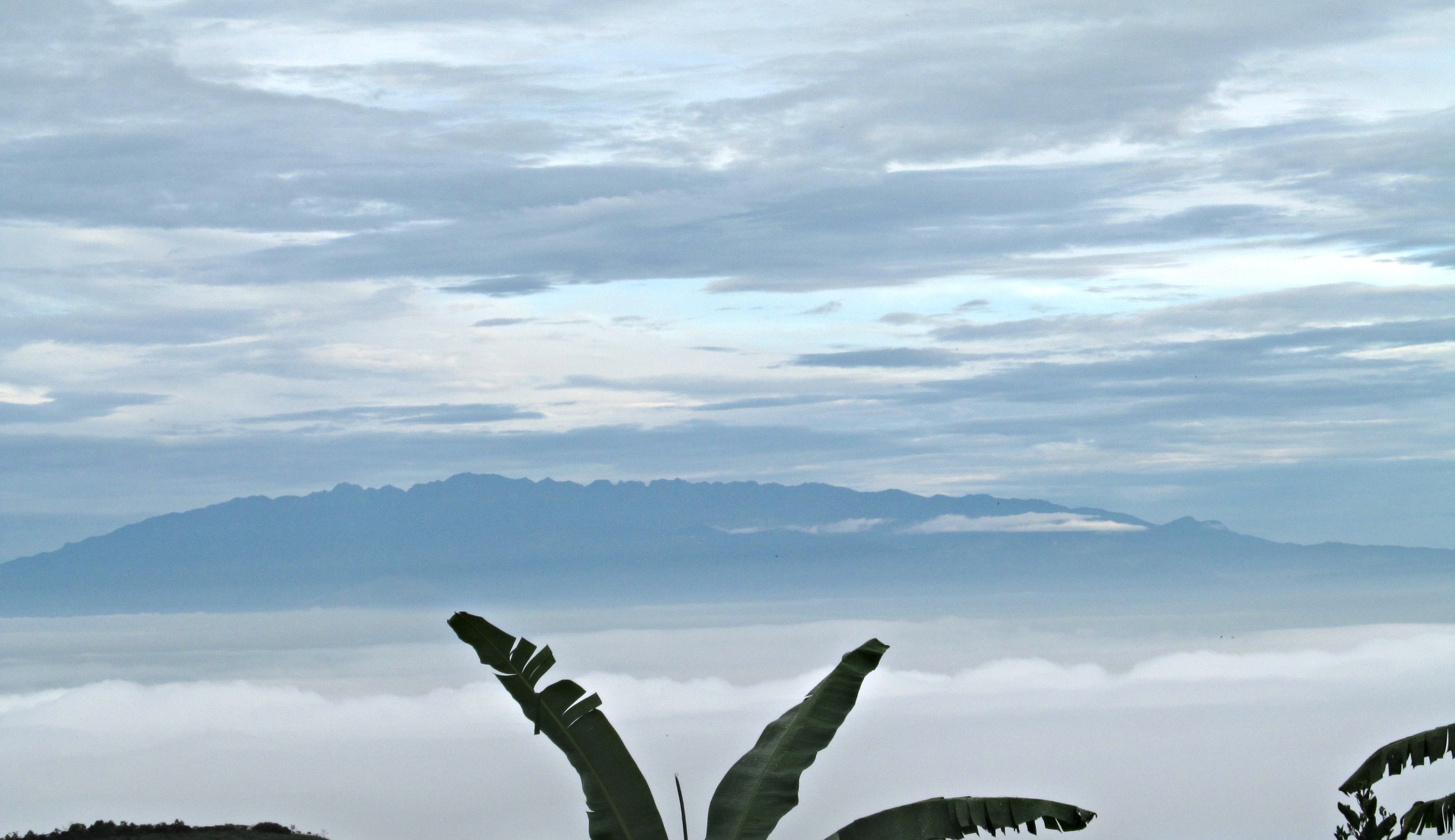 house-pictures-colleen-etc-092