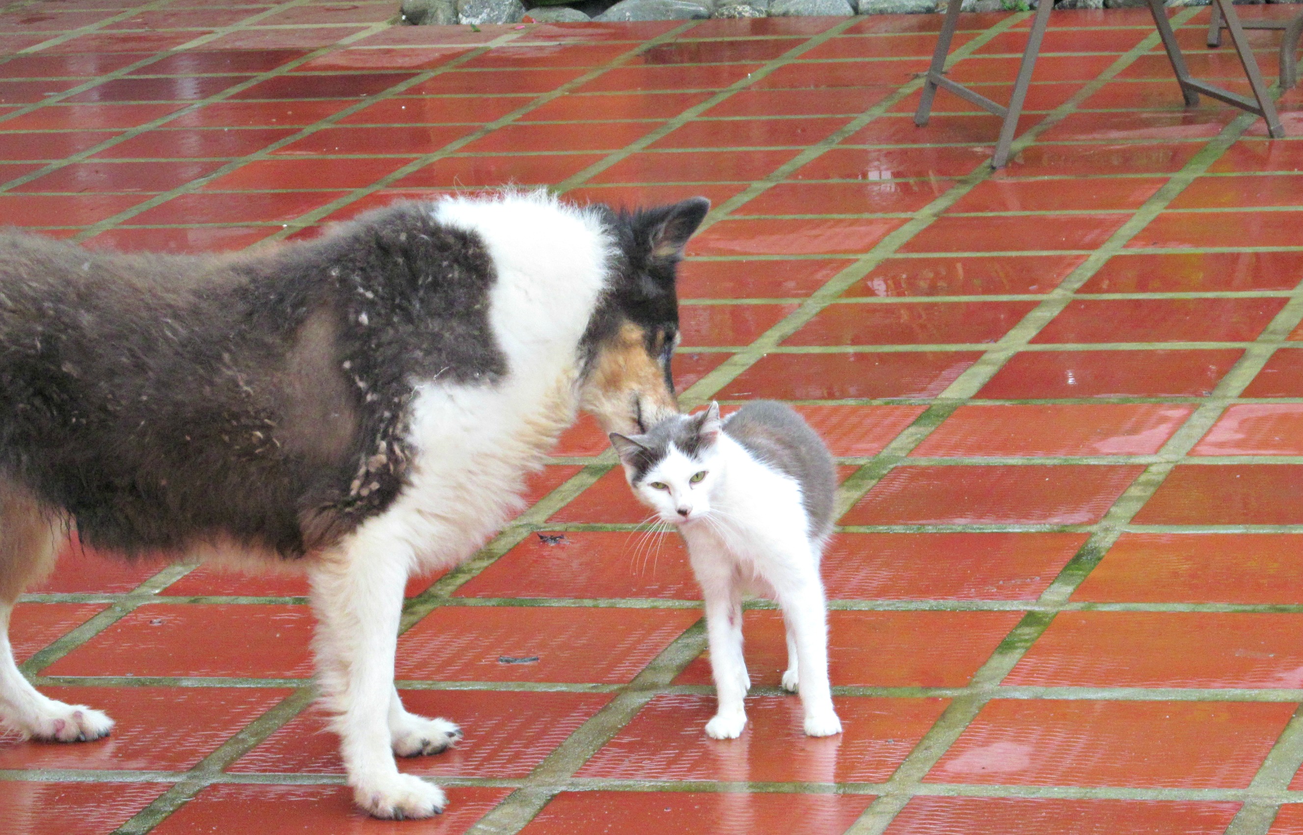 house-pictures-colleen-etc-100