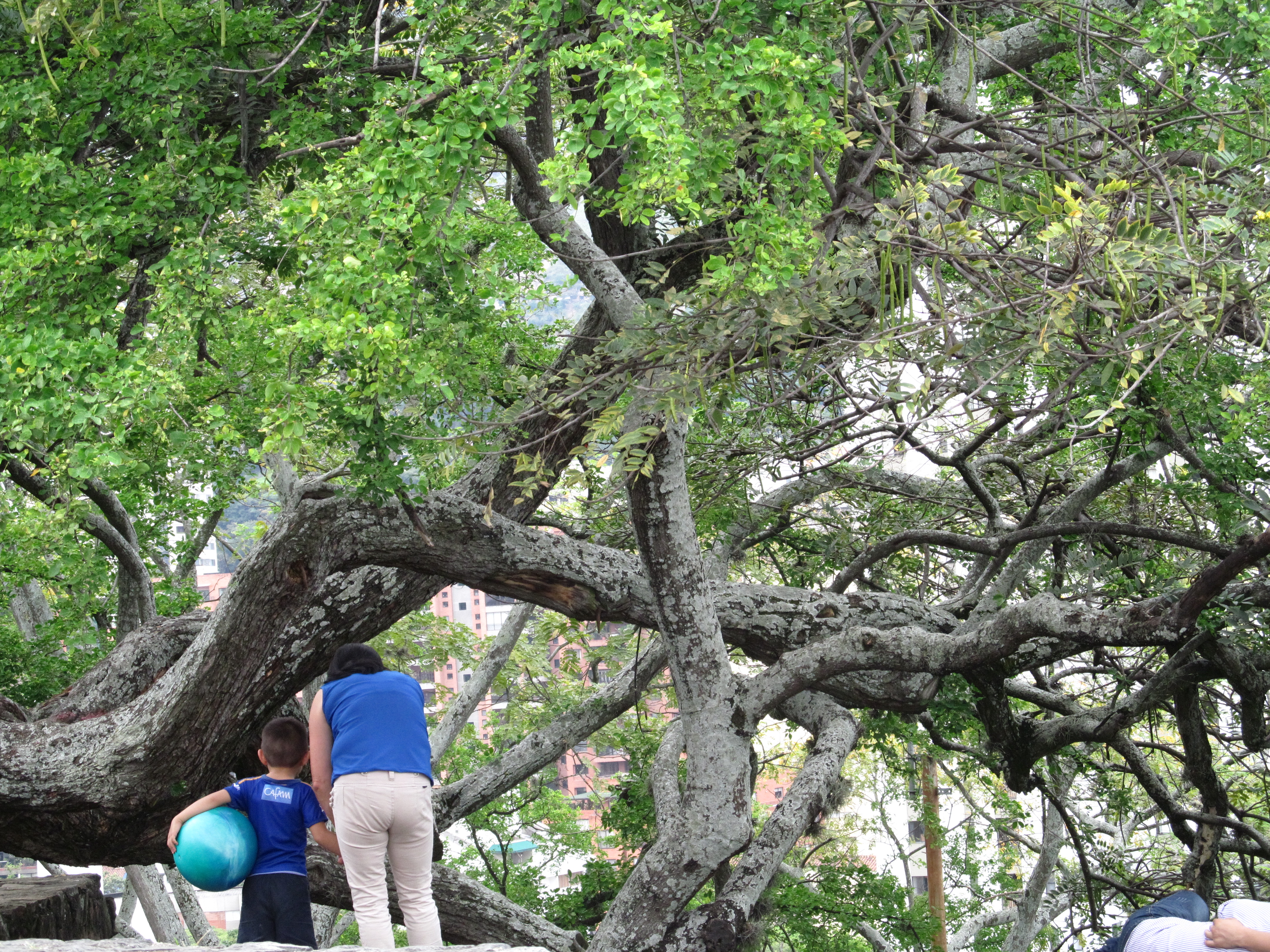 cali-and-san-antonio-dancers-029