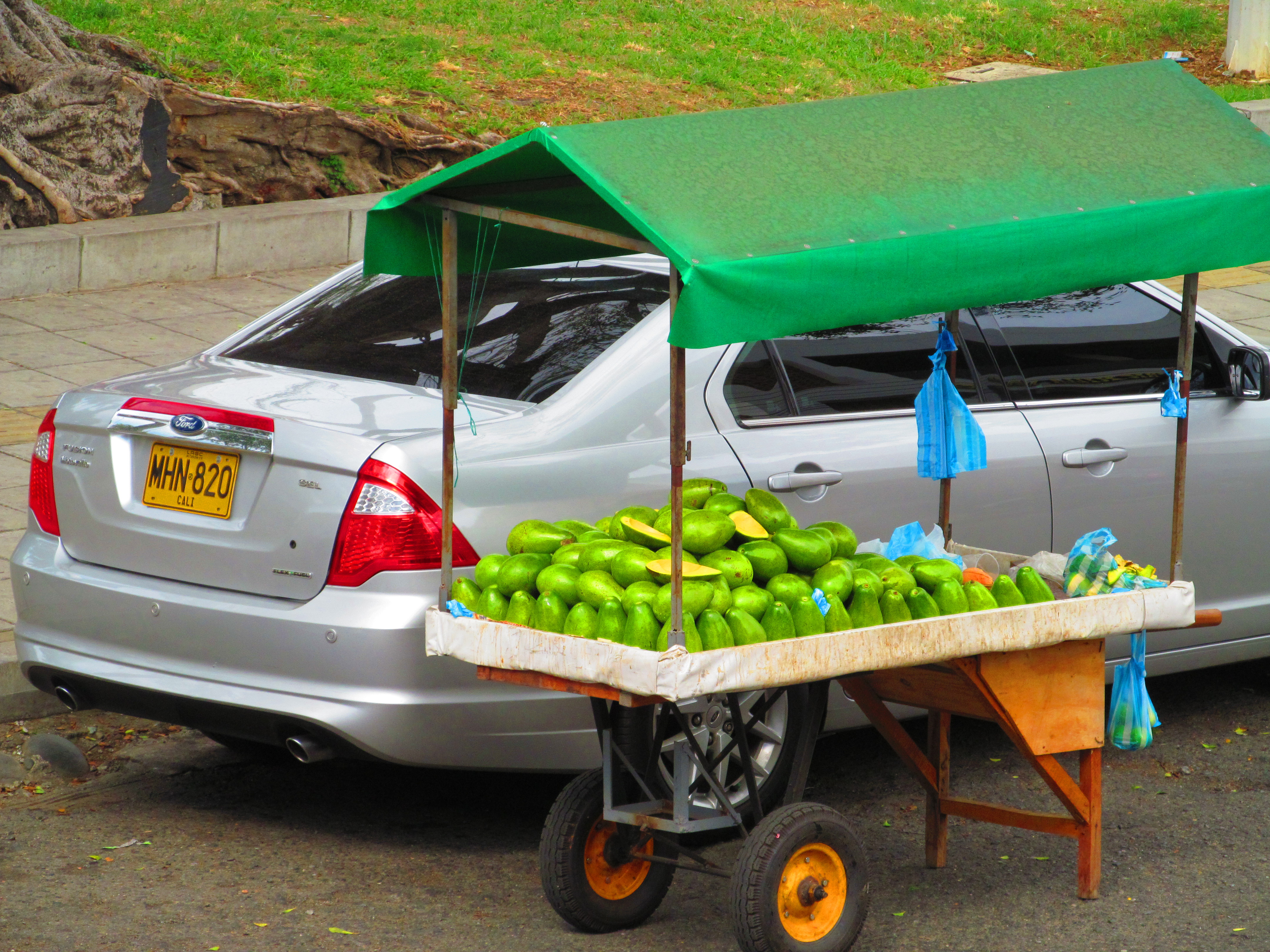 cali-with-family-043