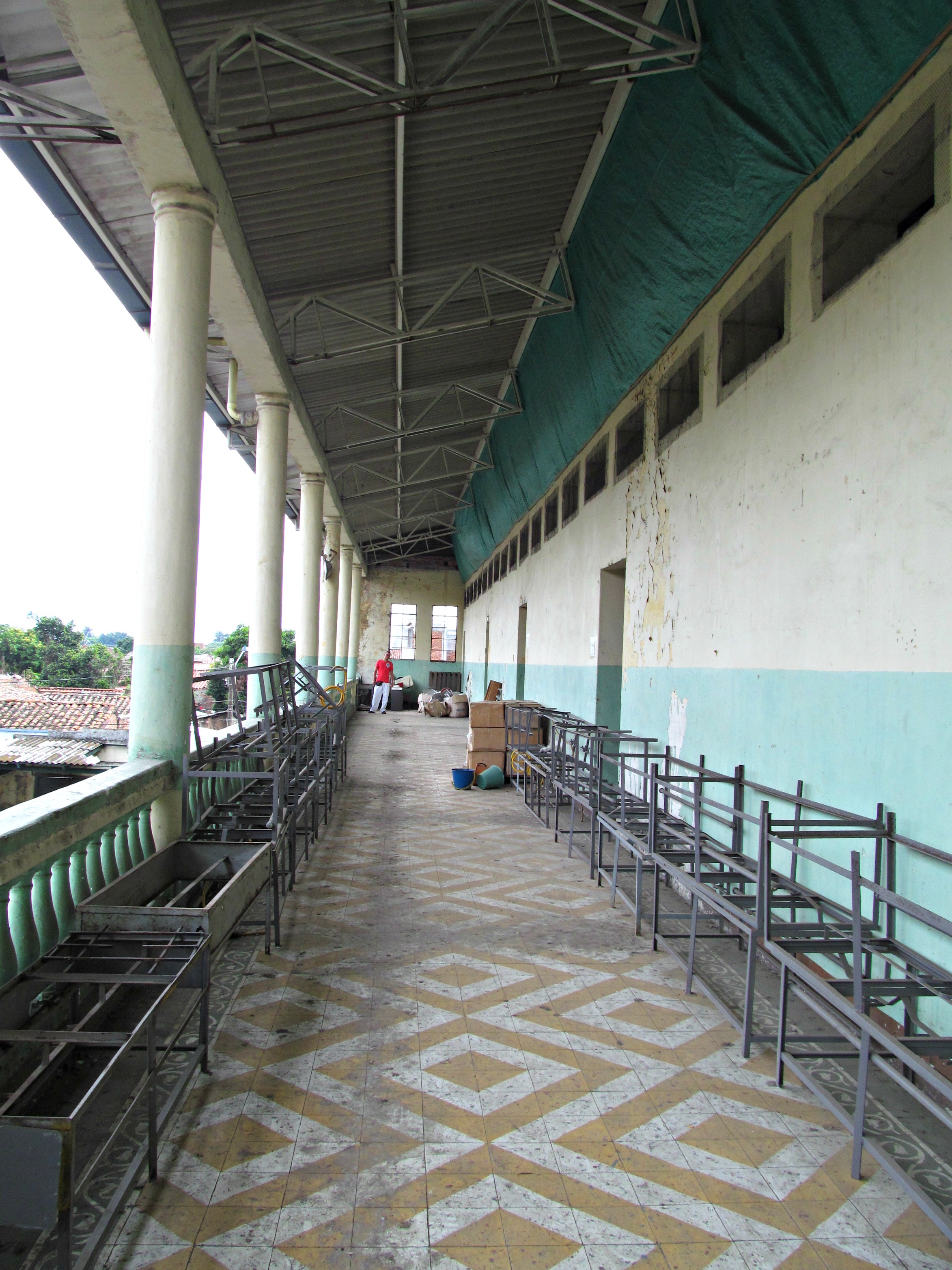 colombia-wins-duck-birds-in-yard-034