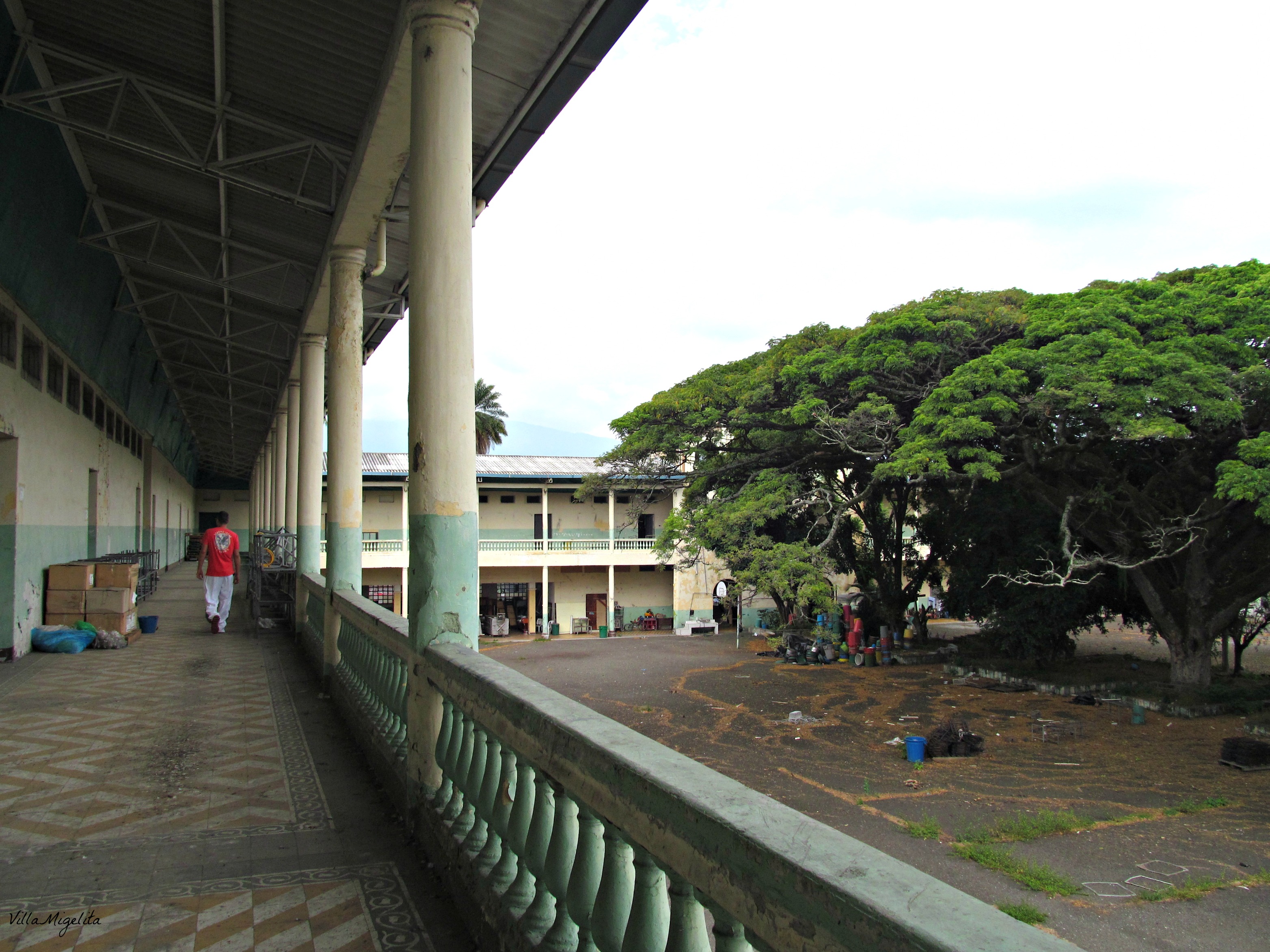 colombia-wins-duck-birds-in-yard-036