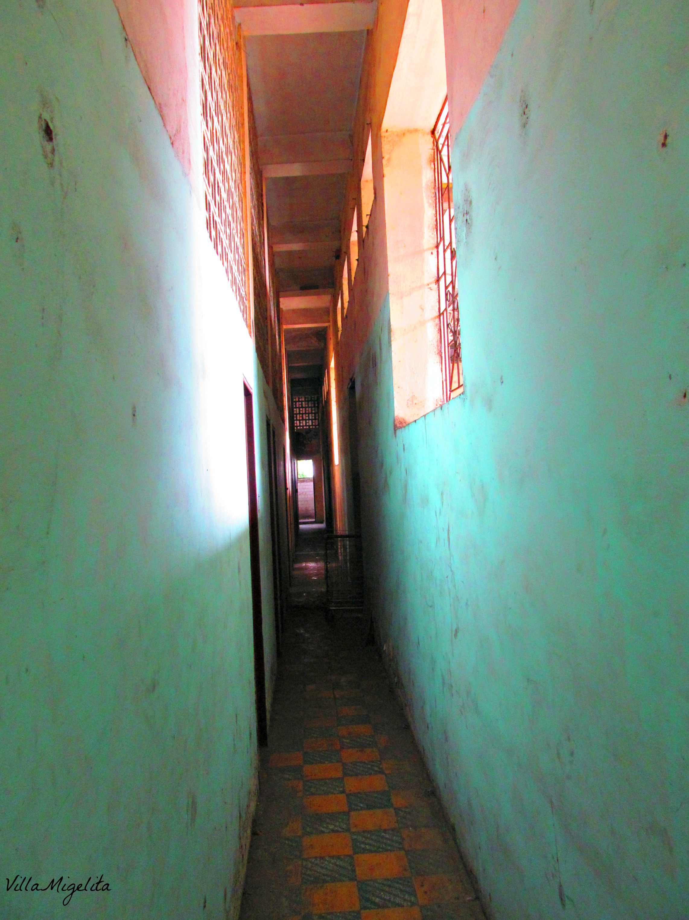 colombia-wins-duck-birds-in-yard-044