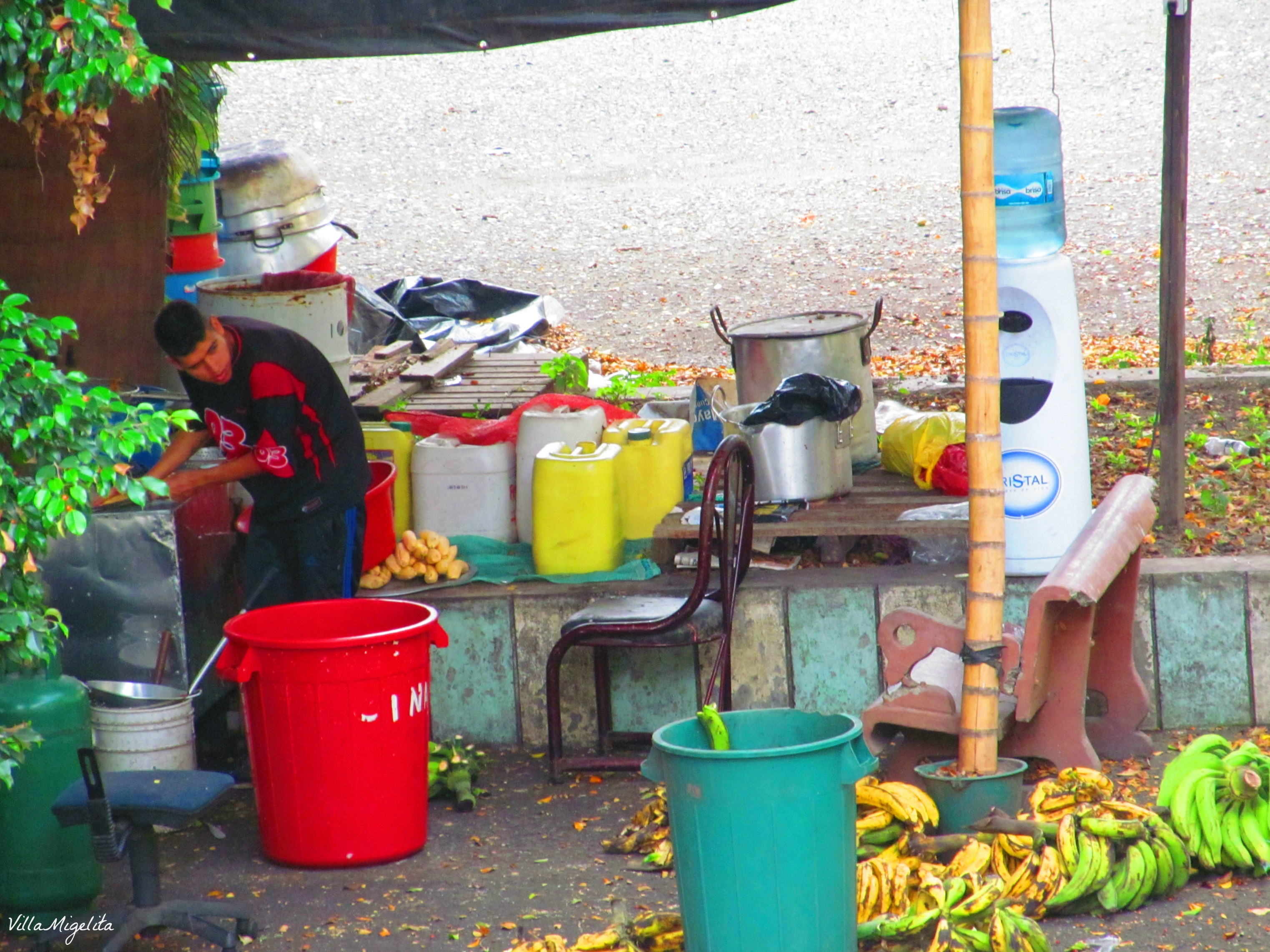 colombia-wins-duck-birds-in-yard-046