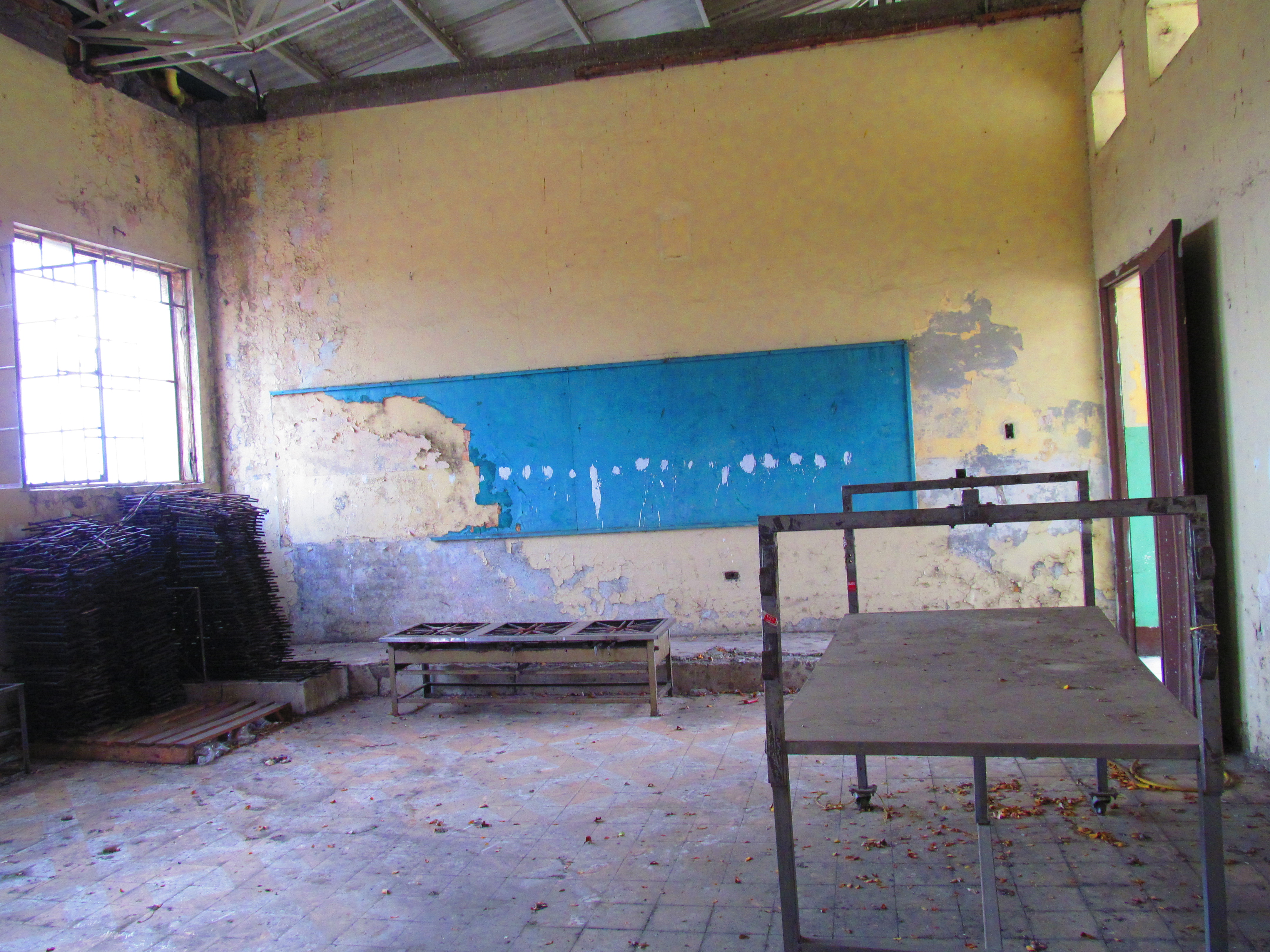 colombia-wins-duck-birds-in-yard-047