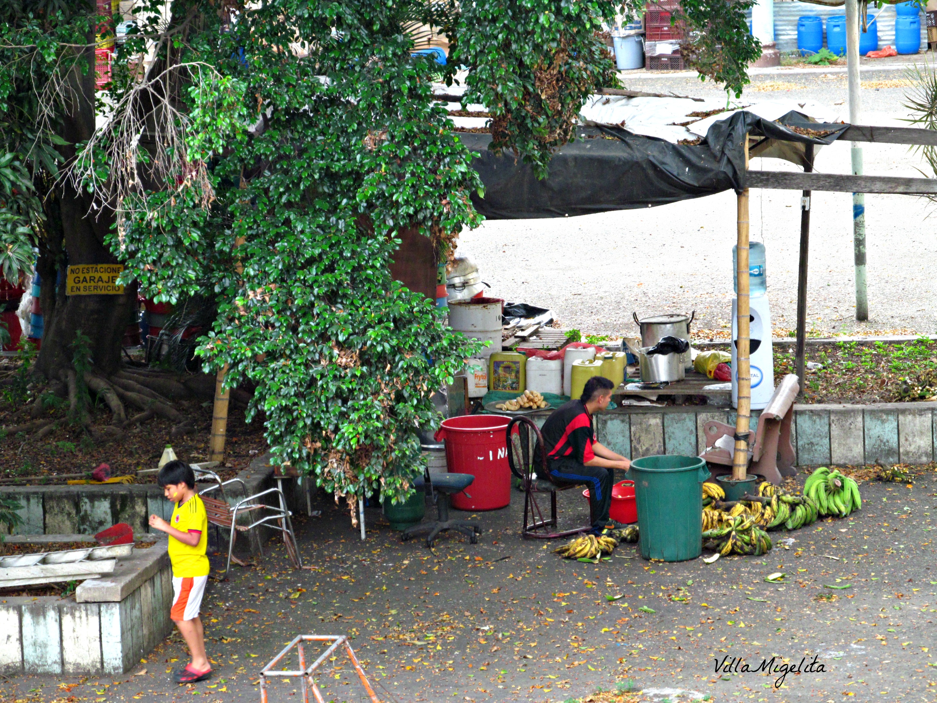 colombia-wins-duck-birds-in-yard-056