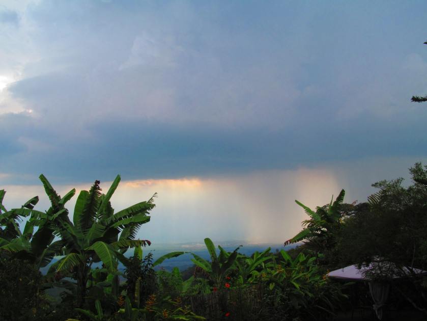 hike and hummingbirds video 023