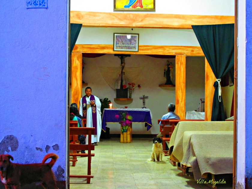 Hike up by farm barranquero turpial 021