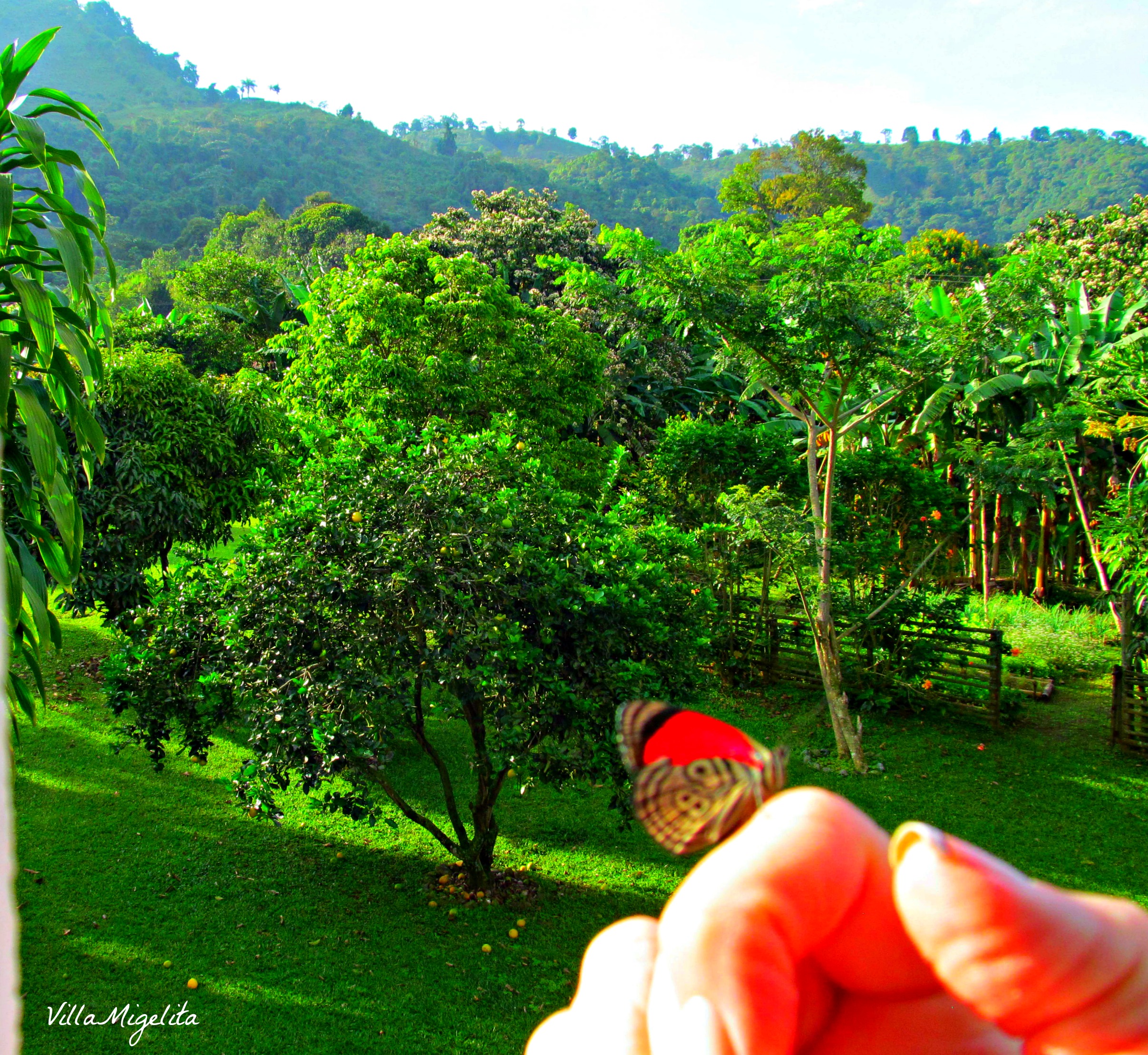 Hike up by farm barranquero turpial 026