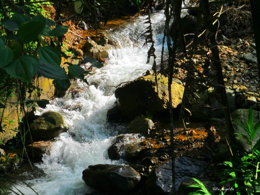 Hike up by farm barranquero turpial 028