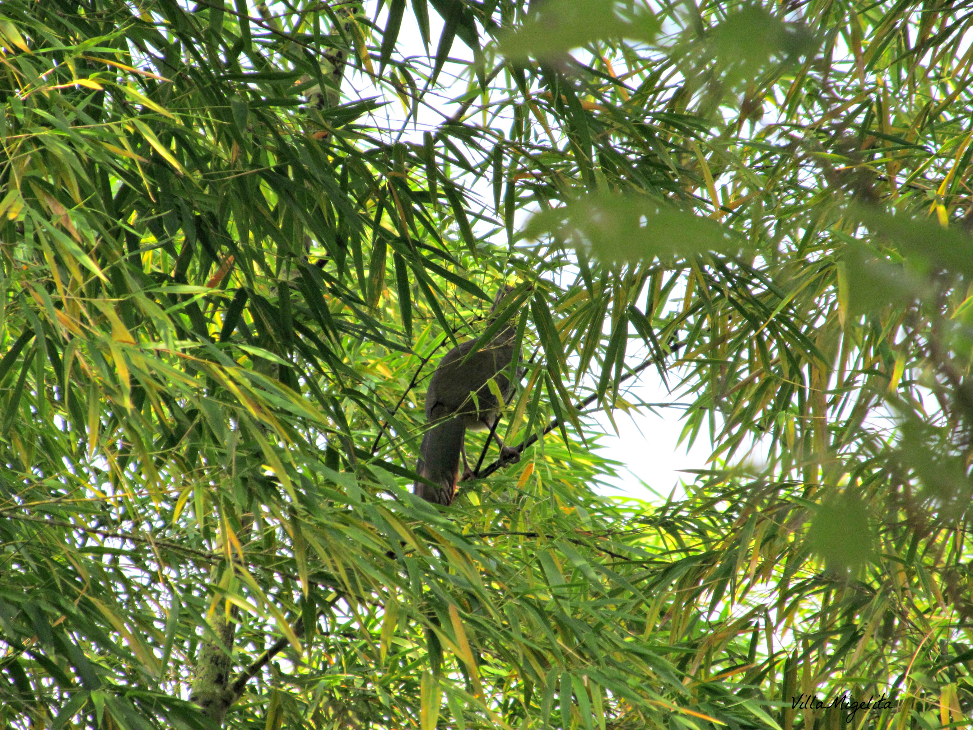 Out and about at VM 003