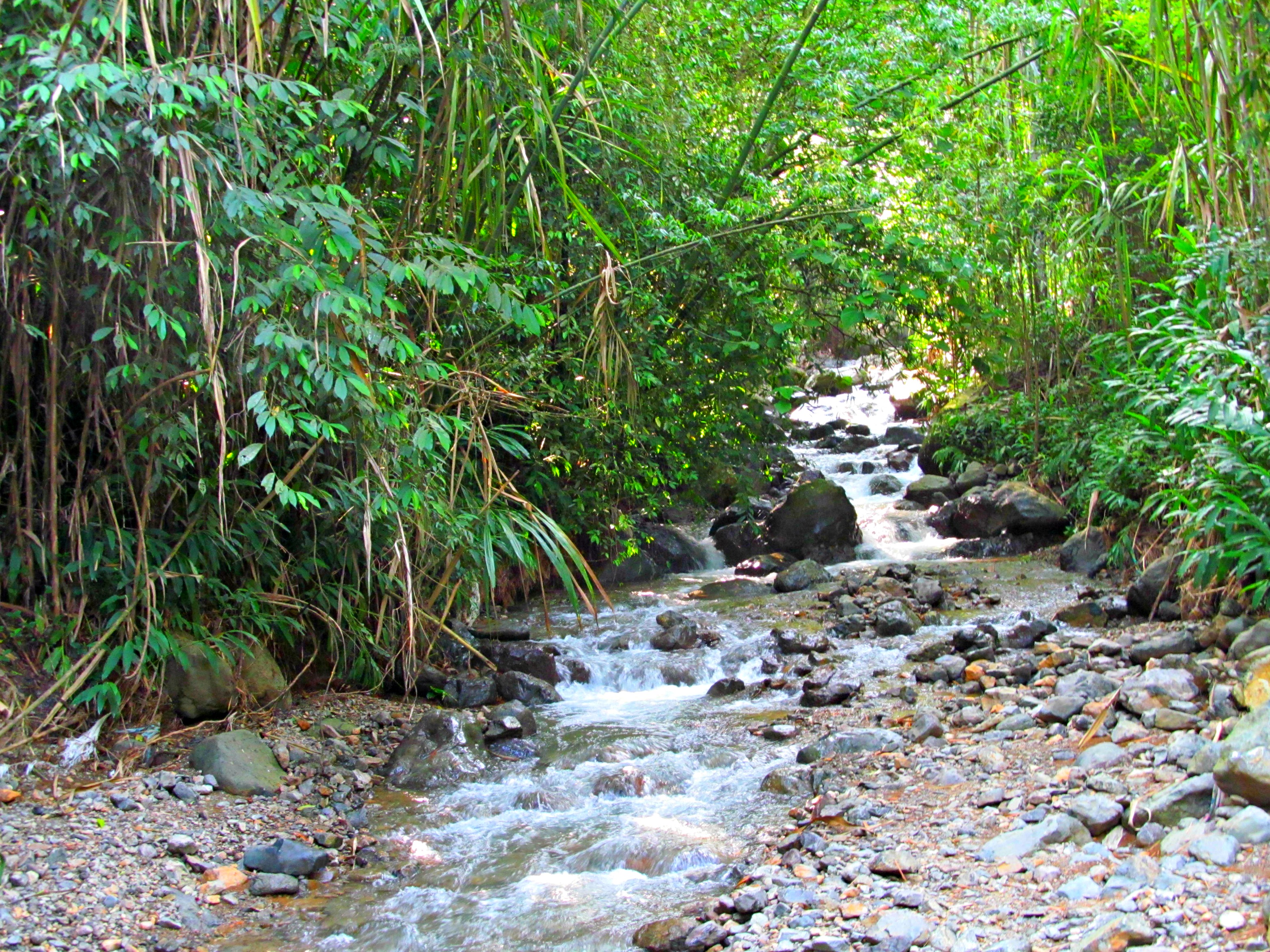 Out and about at VM 005