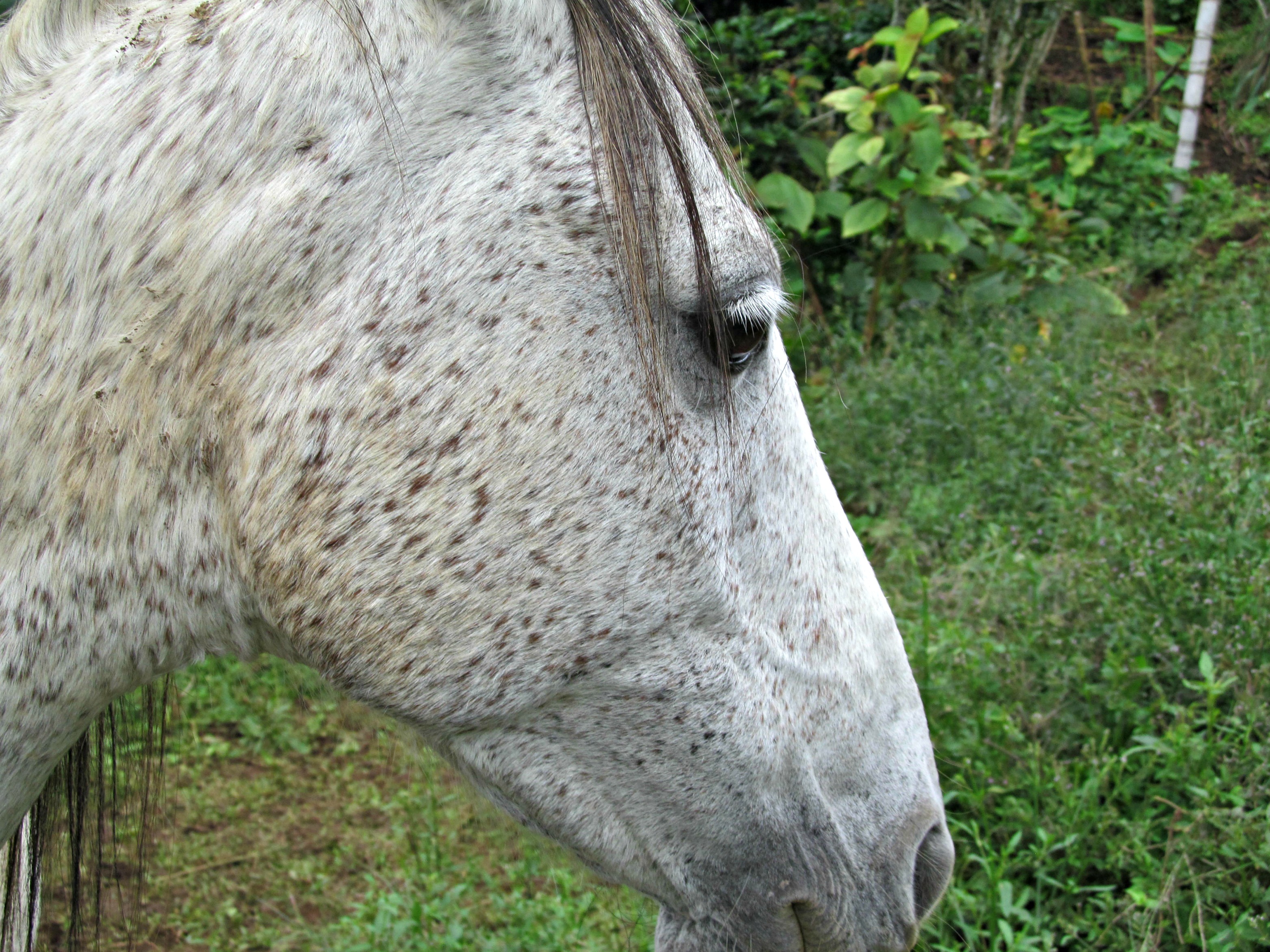 Out and about on the Rainforest hike 015