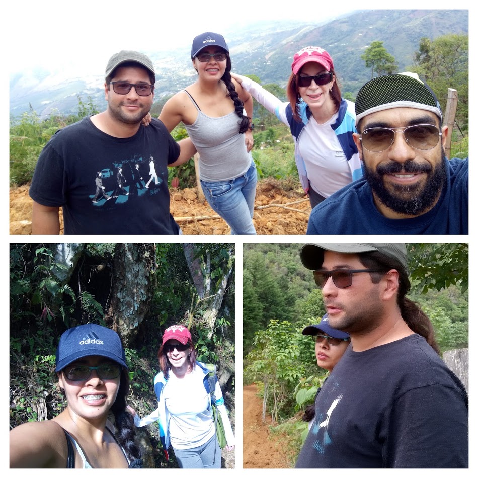 Height is no problem