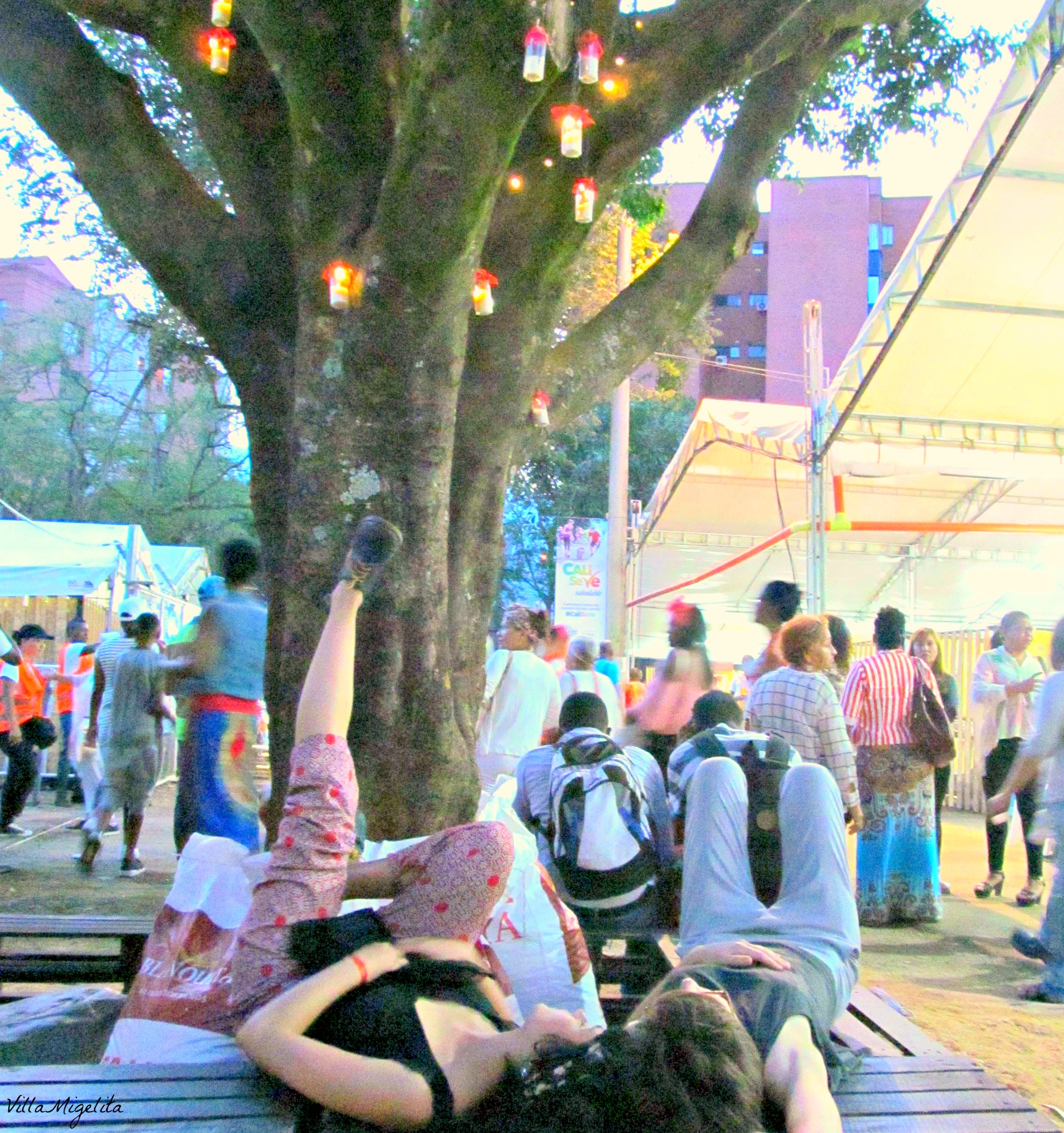 Pacific coast festival 017