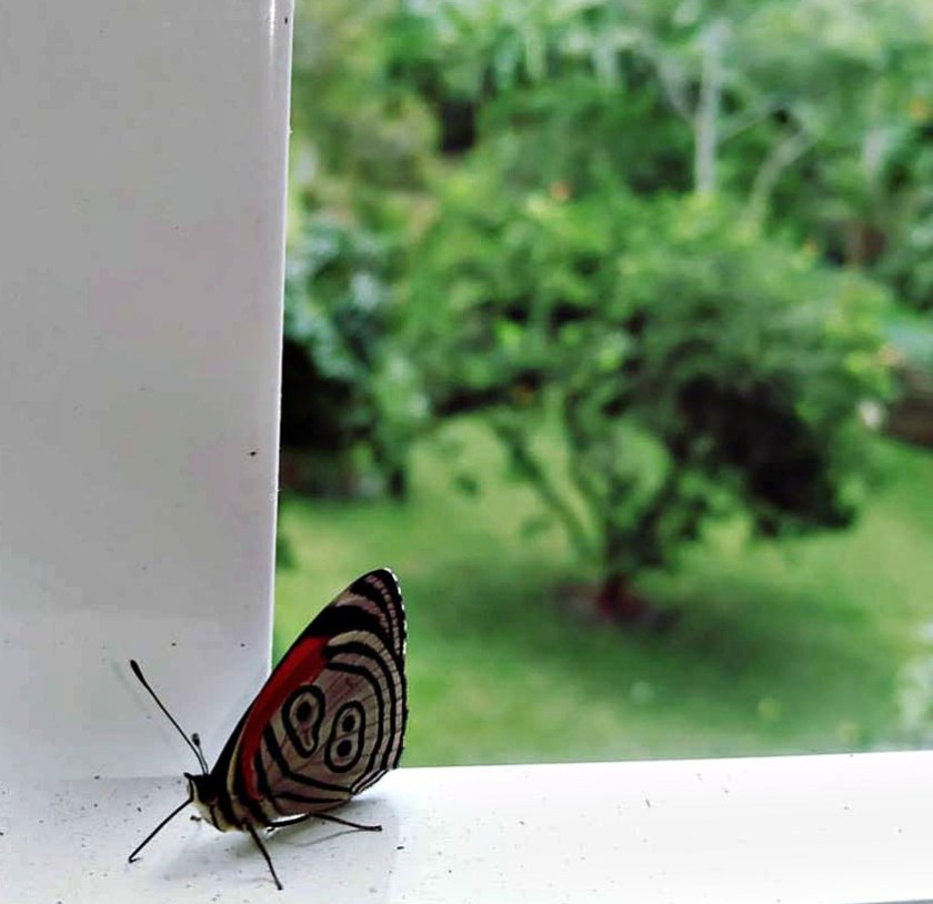 A view form the VM suite