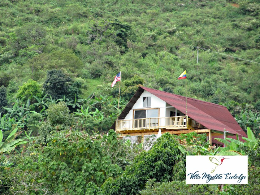 Butterfly video and photos 009