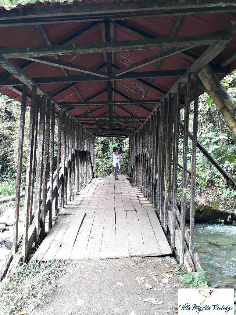 Michele on bridge with camera
