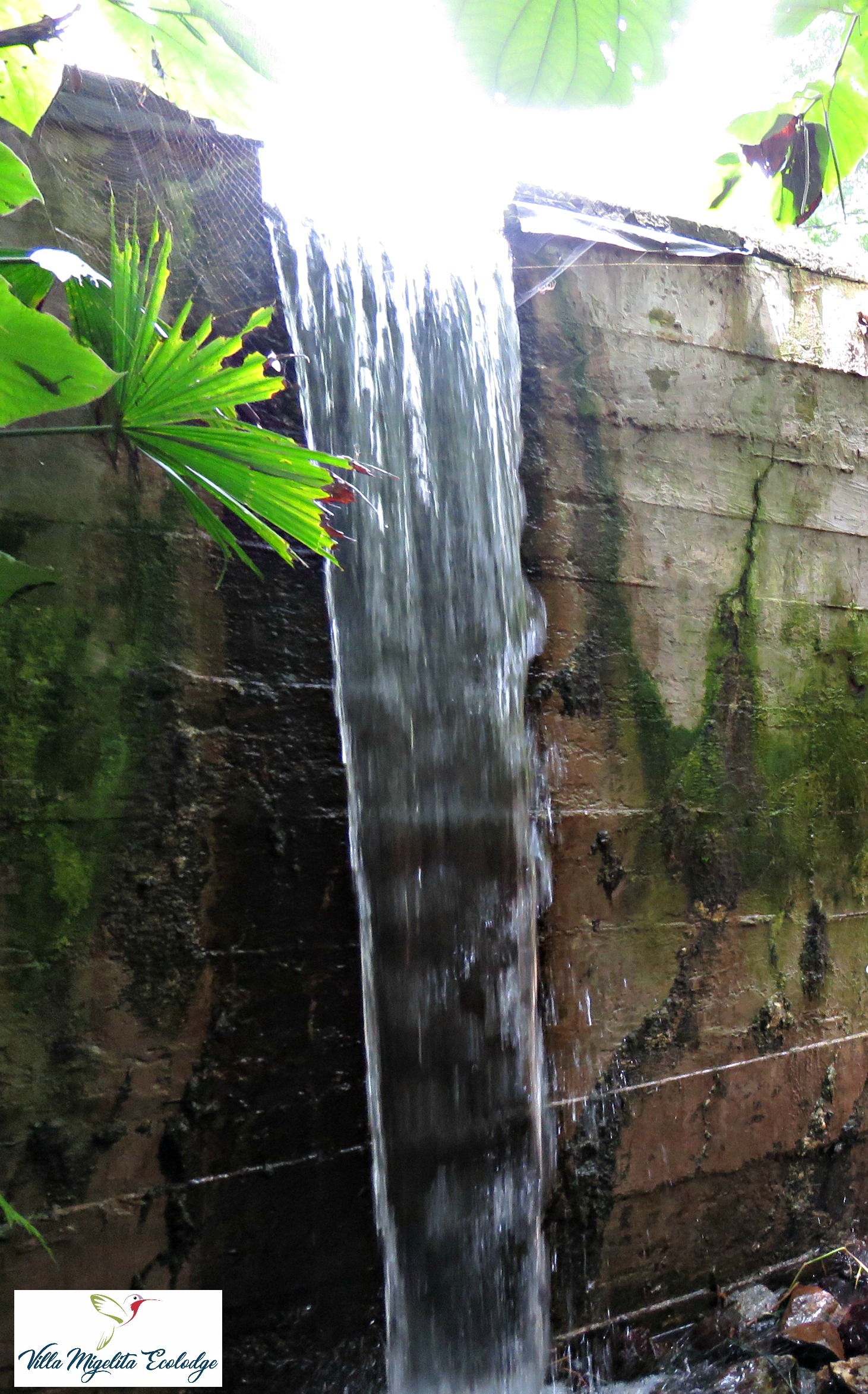 Birds y Jeniffer tour 073