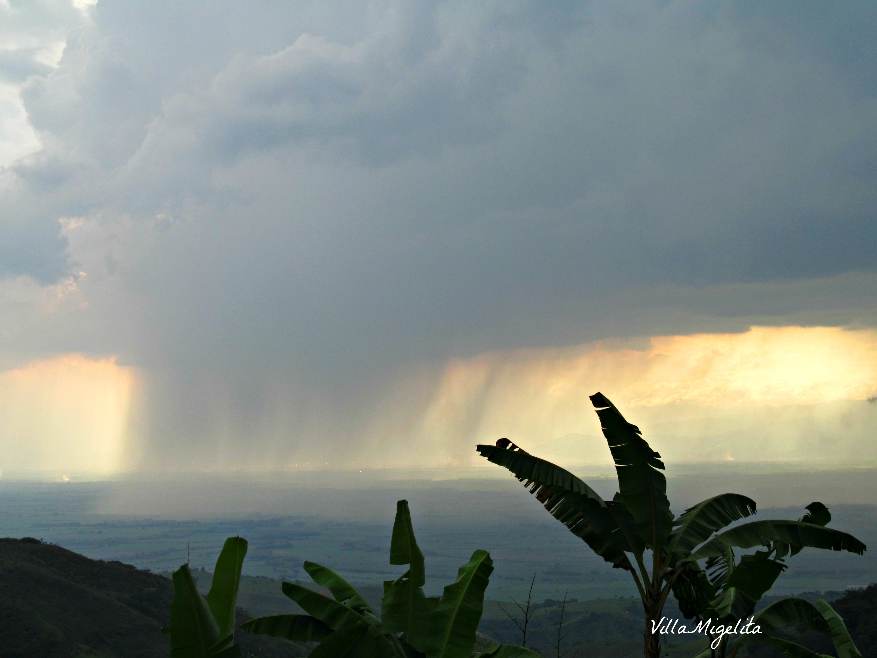 rainstorm and hummingbirds 006