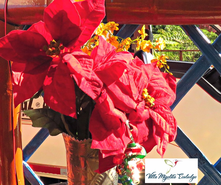 Dec 25 and Dec 26 069