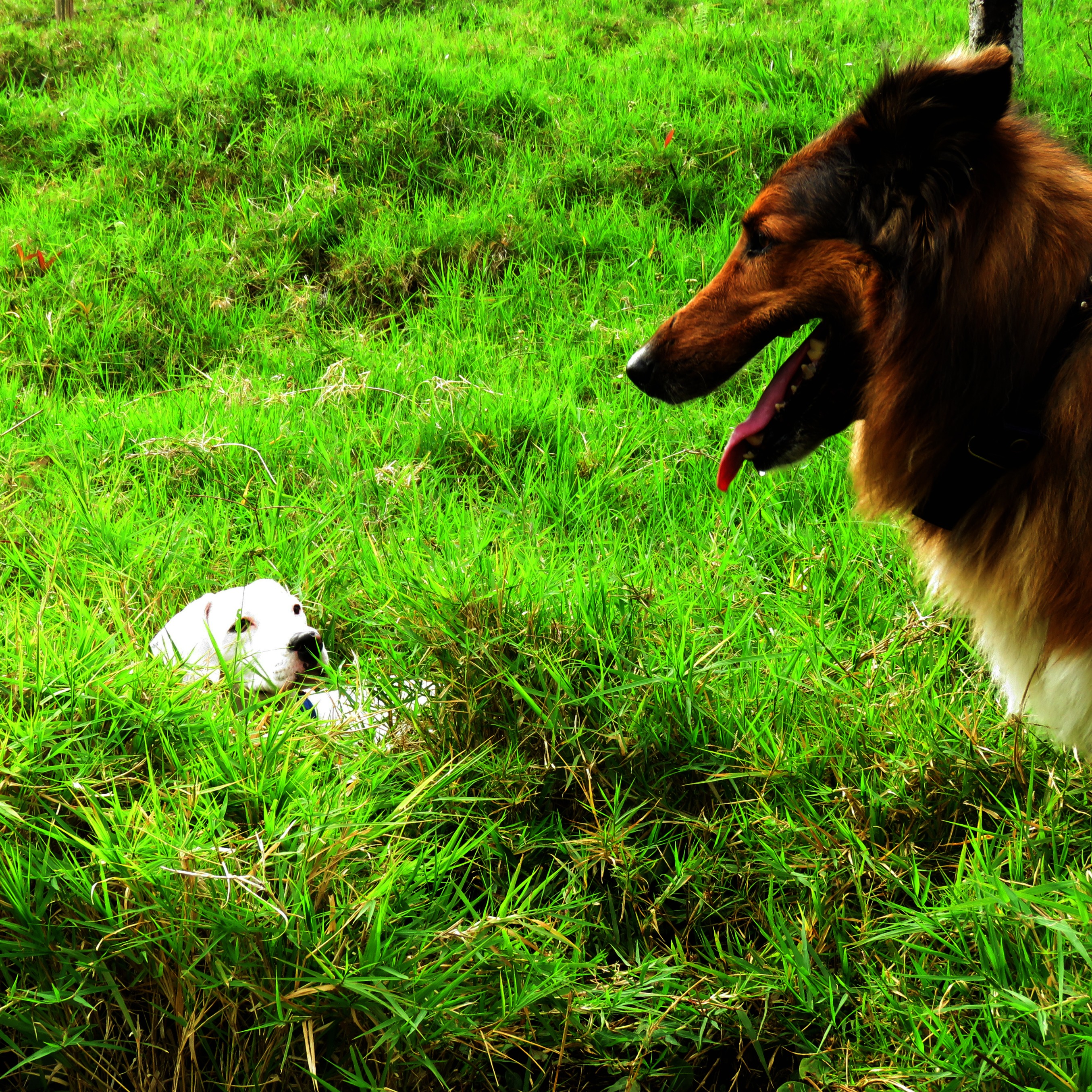 birds, butterflies and saturday walk 053