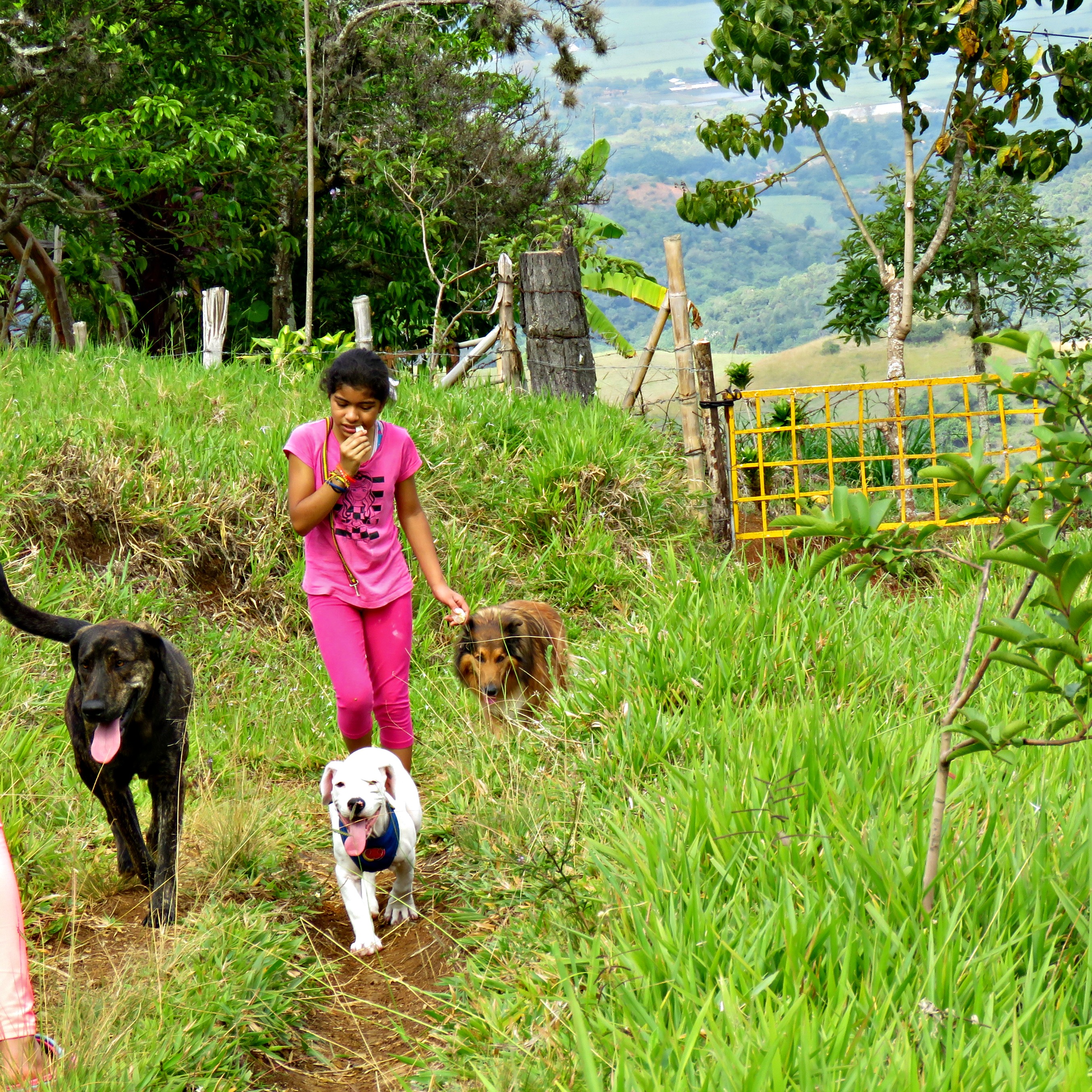 Birds, butterflies and saturday walk 068.JPG