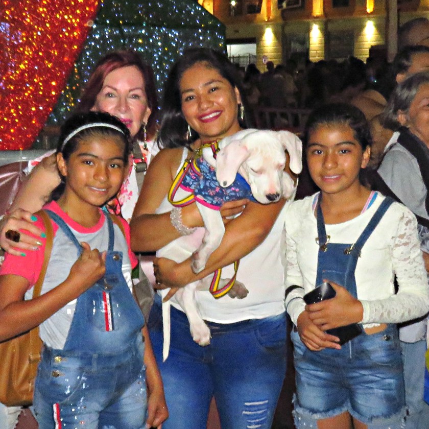 dec 29 birds and cali lights 119