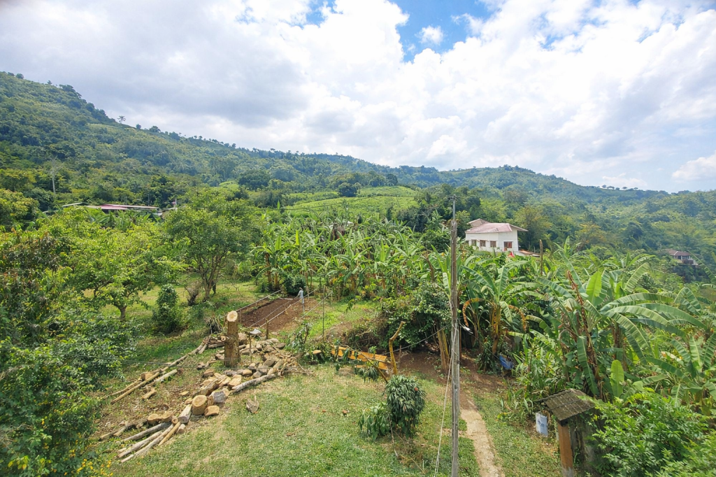 20260411_1136431156872509742646963